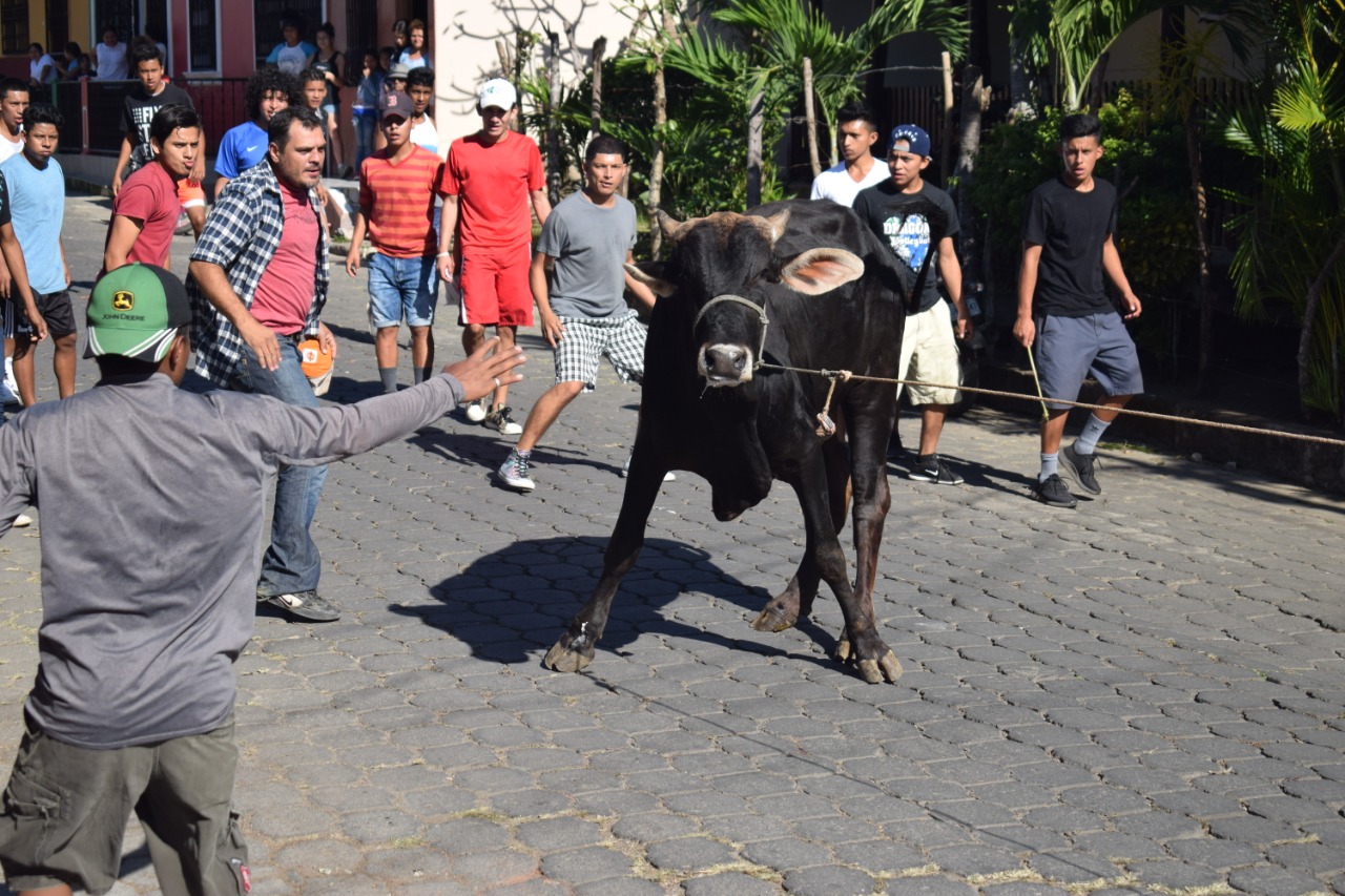 TOROS1